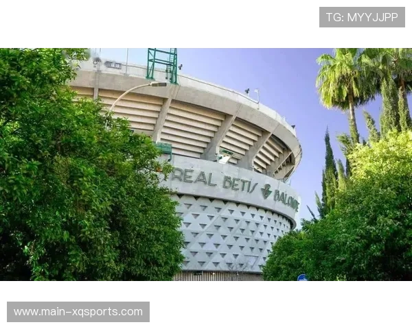 西甲残疾球迷无障碍观赛区扩容,覆盖全部主场场馆 西甲残疾球迷无障碍观赛区扩容,覆盖全部主场场馆